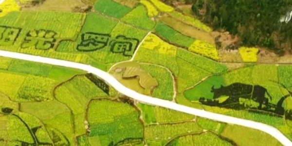 土地的涅槃｜全域土地綜合整治為何爆火？設計院如何搶占風口？